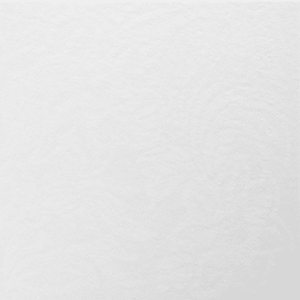 Serviette Jetable 40X40 Blanc