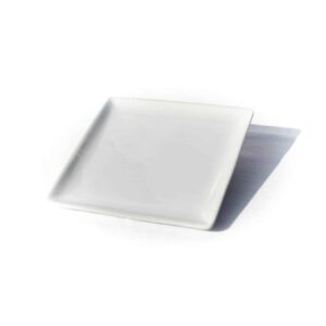 Assiette Cocktail Carrée 12x12x1.5